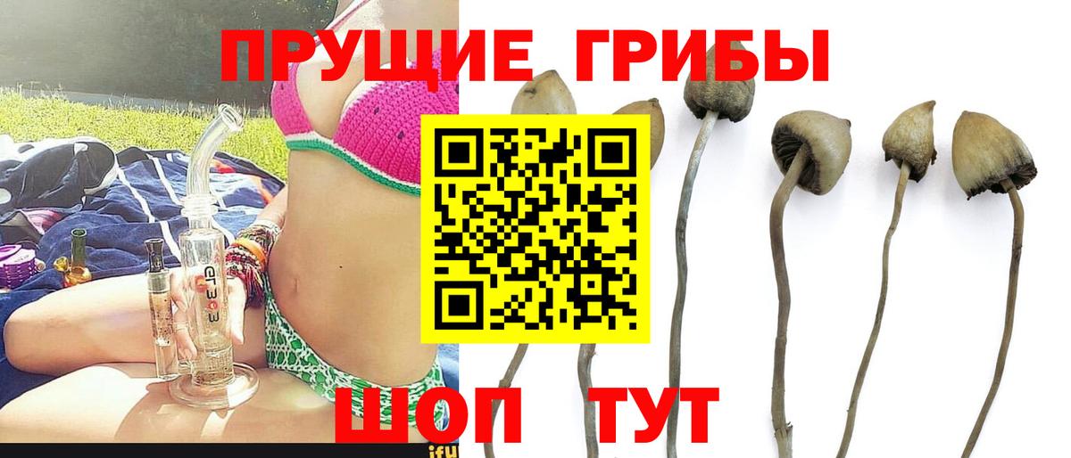 Галлюциногенные грибы мухоморы Воскресенск
